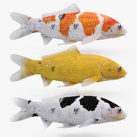 Collection of Construction Equipment v4